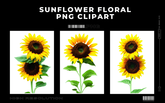 Sunflower Floral Premium Clipart: A Digital Design Essential